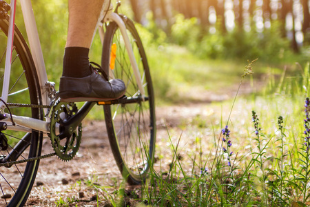 Young bicyclist riding in the forest in the morningの写真素材