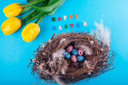 Happy Easter. Nest with eggs and yellow tulips