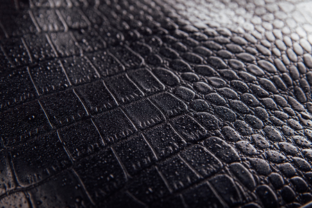 Glossy crocodile or snake skin leather background. Black luxurious texture covered with water dropsの写真素材