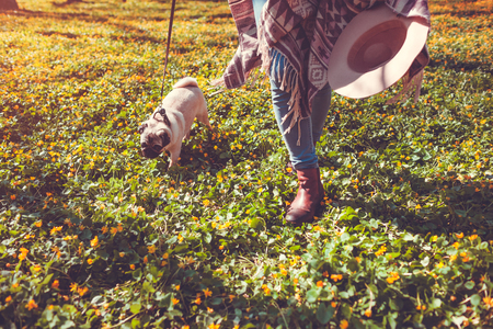 Woman walking pug dog in spring forest. Happy puppy running among yellow flowers in the morning and chews grass. Dog having funの写真素材