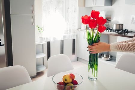 Woman puts tulips in vase. Young housewife taking care of coziness in kitchen. Modern kitchen designの写真素材