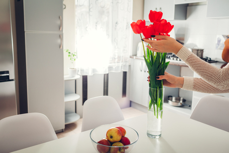 Woman puts red flowers in vase. Young housewife taking care of coziness in kitchen. Modern kitchen design. White and silver kitchenの写真素材