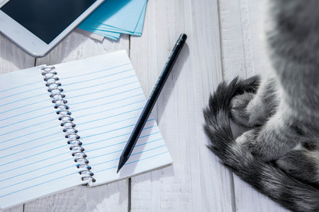 Writing goals with cat and morning coffee. Having breakfast with best friendの写真素材