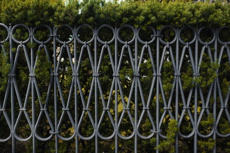 Metal grey fence with evergreen bushes and trees behind. Backgroundの写真素材