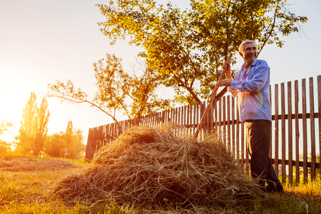 Farmer man gathers hay with pitchfork at sunset in countryside. Agriculture and farming concept. Harvest timeの写真素材