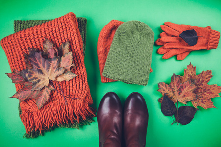 Autumn female outfit. Set of clothes, shoes and accessories on green backgroundの写真素材