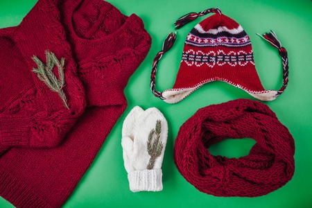 Winter female outfit. Set of clothes and accessories on green backgroundの写真素材