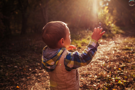 Little boy catching bubbles in autumn forestの写真素材