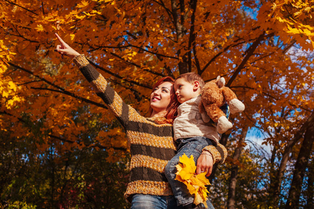 Happy mother and her little son walking and having fun in autumn forest. Woman showing something to her kidの写真素材