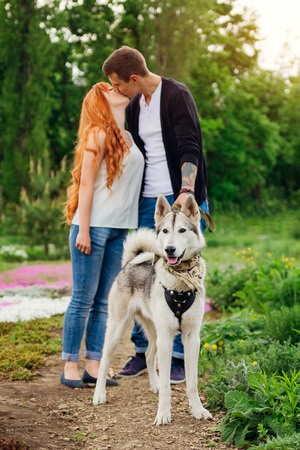 A young couple walking a dog in the spring park and kissing. Huskyの写真素材
