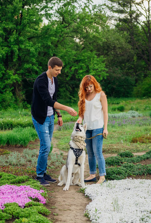 A young couple walking a dog in the spring parkの写真素材