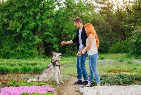 A young couple walking and playing with husky dog in summer parkの写真素材