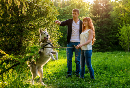 A young couple walking and playing with husky dog in summer parkの写真素材