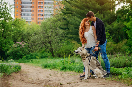 A young couple walking a husky dog in the summer parkの写真素材