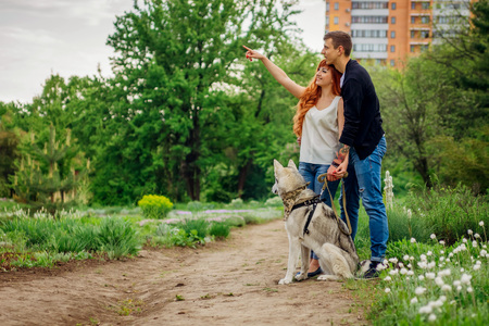 A young couple walking a husky dog in the summer parkの写真素材