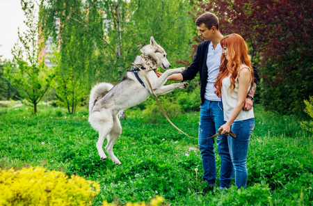 A young couple walking and playing with husky dog in summer parkの写真素材