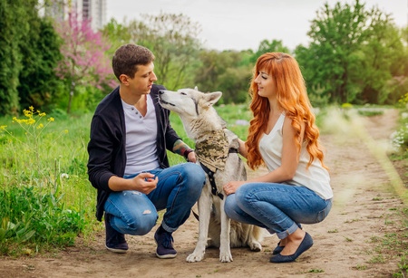 A young couple walking a dog in the spring park. Man and woman hugging huskyの写真素材