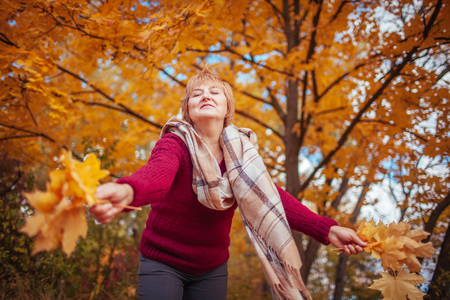 Middle-aged woman gathers maple leaves in the forest. Lady walking and having funの写真素材