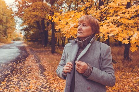 Middle-aged woman surrouded with yellow trees walks in autumn forest. Fall outfit. Fashionの写真素材