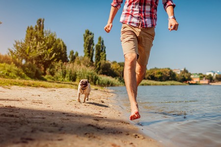 Pug dog playing with master by river. Happy puppy running and having fun in water. Dog pursueing man outdoors.の写真素材