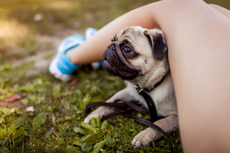 Pug dog hiding under master's legs on grass. Happy puppy having fun with master. Guy laughing at funny petの写真素材