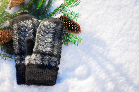 Mittens with fir branch and cones on snowの写真素材