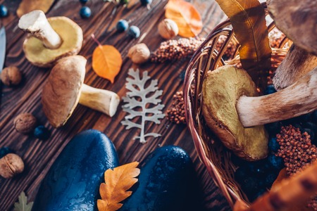 Porcini mushrooms in basket with berries and nuts on wooden table. Autumn harvest with shoes. Gathered in forest fall cropの写真素材