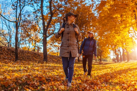Tourists with backpacks walking in autumn forest at sunset. Mother and her adult daughter travelling...