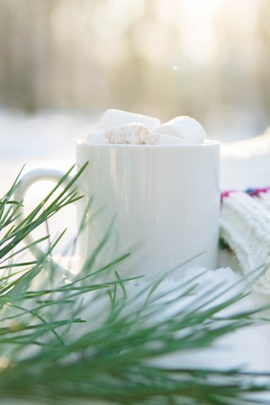 Cup of coffee with marshmallow in winter forestの写真素材