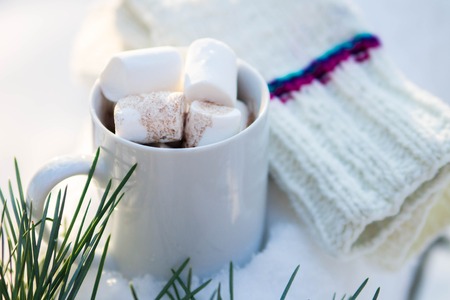 Cup of coffee with marshmallow in winter forestの写真素材