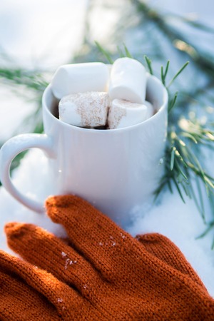 Cup of coffee with marshmallow in winter forestの写真素材