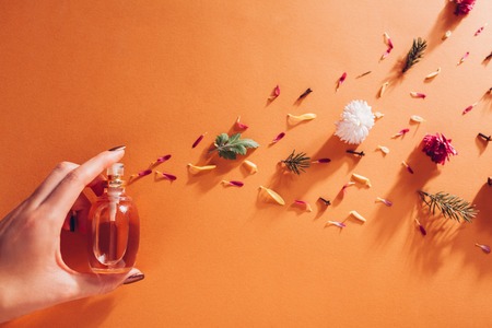 Woman holding bottle of perfume with ingredients. Fragrance of flowers, spices, herbs and fir tree