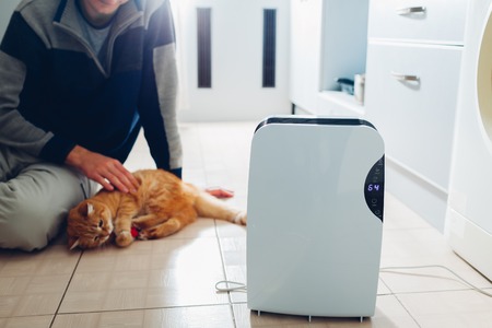 Dehumidifier with touch panel, humidity indicator, uv lamp, air ionizer, water container works at home while man playing with cat. Air dryerの写真素材