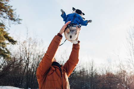 Pug dog walking with his master in winter forest. Man throwing his pet up for fun. Puppy wearing winter coat.の写真素材