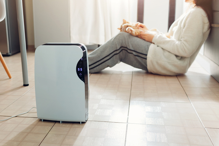 Dehumidifier with touch panel, humidity indicator, uv lamp, air ionizer, water container works at home while woman playing with cat. Air dryerの写真素材