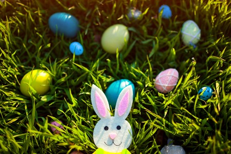 Happy Easter. Easter eggs hidden in spring grass. Bunny toy left in garden. Holiday decorationの写真素材