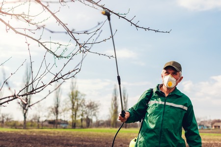 Senior farmer spraying tree with manual pesticide sprayer against insects in spring garden. Agriculture and gardening conceptの写真素材