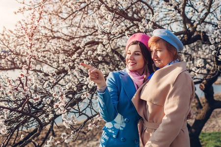 Happy senior mother and her daughter hugging in blooming spring garden at sunset. Mother's day concept. Family valuesの写真素材