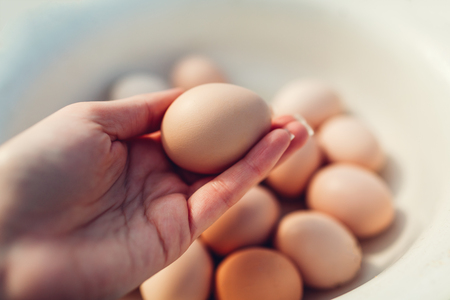 Farmer woman holding egg in hand by other eggs collected in bowl. Organic product for healthy eatingの写真素材