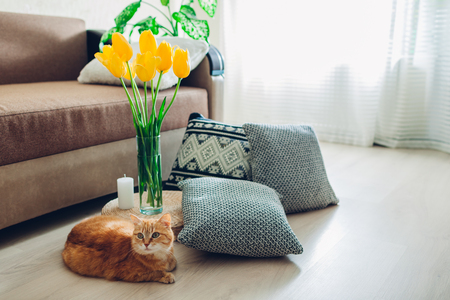 Details of modern living room interior. Tatami straw cushion decorated with flowers and pillow on the floor with cat lying byの写真素材
