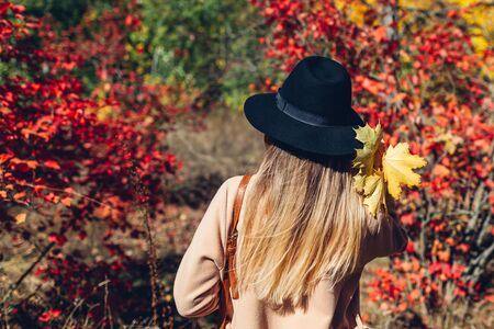 Autumn vibes. Young woman walking in autumn forest among red leaves. Traveller admires natureの写真素材