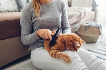 Combing ginger cat with comb brush at home. Woman owner taking care of pet to remove hair.の写真素材