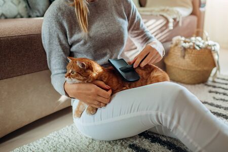 Combing ginger cat with comb brush at home. Woman owner taking care of pet to remove hair. Healthy clean animalsの写真素材