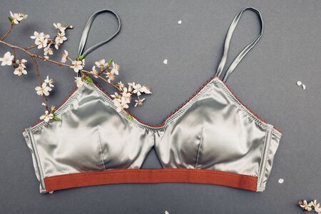 Female silk underwear with spring blossom. Satin silver bra with lace. Sexy clothing for women with...