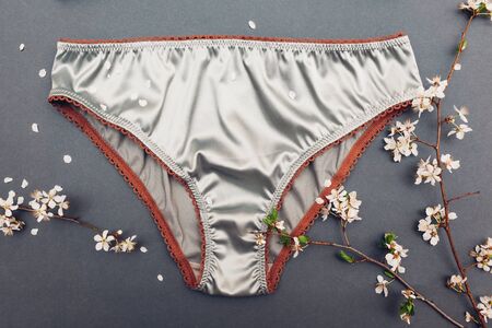 Female silk underwear with spring blossom. Satin silver panties with lace. Sexy clothing for women...