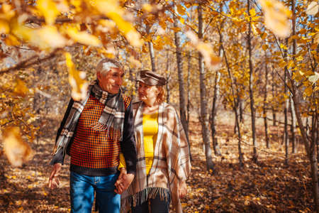 Fall season activities. Senior couple walking in autumn park. Retired man and woman holding hands outdoors enjoying natureの写真素材