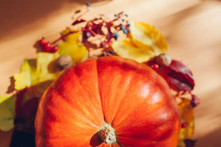 Fall harvest background. Orange pumpkin surrounded with red and yellow leaves and berries. Autumn season flatlayの写真素材