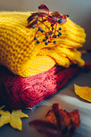 Autumn clothes. Yellow and burgundy sweater covered with leaves and berries on grey background. Flat lay, top viewの写真素材