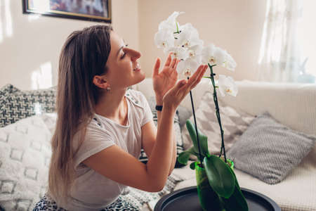 Woman smelling orchid in pot on table in living room. Housewife taking care of home plants and flowers. Interior decorの写真素材