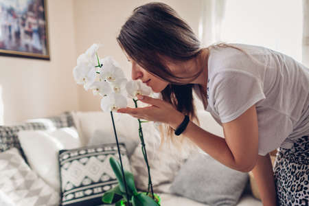 Young woman smelling blooming white orchid in living room. Housewife taking care of home plants and flowers. Interior decorの写真素材